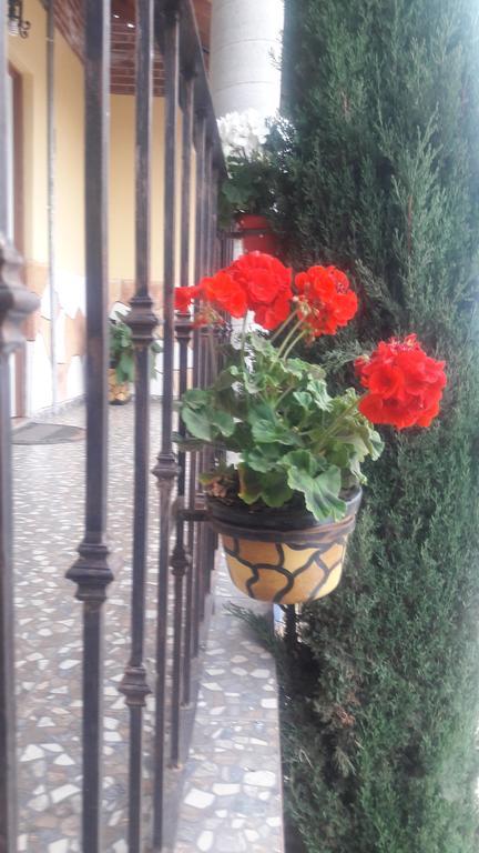 Hotel Posada El Camino Чигнауапан Екстериор снимка