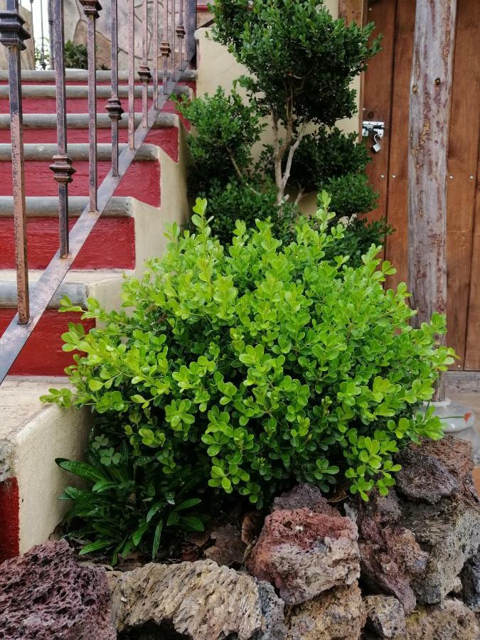 Hotel Posada El Camino Чигнауапан Екстериор снимка